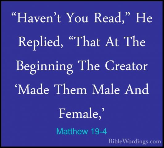 Matthew 19-4 - "Haven't You Read," He Replied, "That At The Begin"Haven't You Read," He Replied, "That At The Beginning The Creator 'Made Them Male And Female,' 