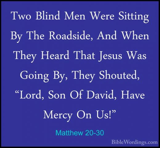 Matthew 20-30 - Two Blind Men Were Sitting By The Roadside, And WTwo Blind Men Were Sitting By The Roadside, And When They Heard That Jesus Was Going By, They Shouted, "Lord, Son Of David, Have Mercy On Us!" 
