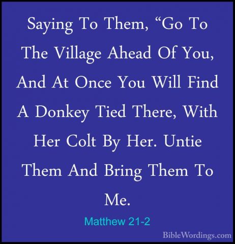 Matthew 21-2 - Saying To Them, "Go To The Village Ahead Of You, ASaying To Them, "Go To The Village Ahead Of You, And At Once You Will Find A Donkey Tied There, With Her Colt By Her. Untie Them And Bring Them To Me. 