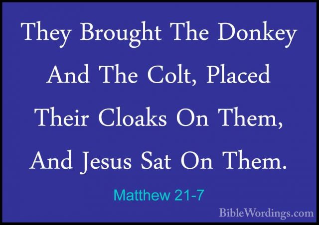 Matthew 21-7 - They Brought The Donkey And The Colt, Placed TheirThey Brought The Donkey And The Colt, Placed Their Cloaks On Them, And Jesus Sat On Them. 