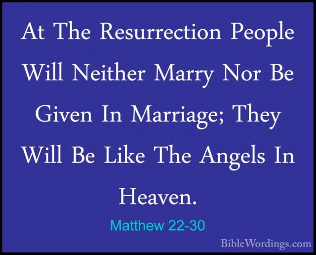 Matthew 22 - Holy Bible English - BibleWordings.com