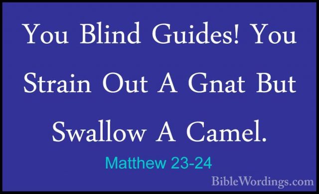 Matthew 23-24 - You Blind Guides! You Strain Out A Gnat But SwallYou Blind Guides! You Strain Out A Gnat But Swallow A Camel. 