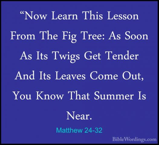Matthew 24-32 - "Now Learn This Lesson From The Fig Tree: As Soon"Now Learn This Lesson From The Fig Tree: As Soon As Its Twigs Get Tender And Its Leaves Come Out, You Know That Summer Is Near. 