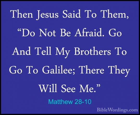 Matthew 28-10 - Then Jesus Said To Them, "Do Not Be Afraid. Go AnThen Jesus Said To Them, "Do Not Be Afraid. Go And Tell My Brothers To Go To Galilee; There They Will See Me." 