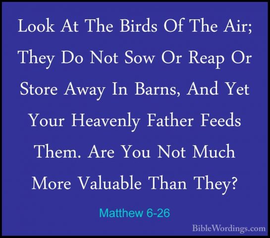 Matthew 6-26 - Look At The Birds Of The Air; They Do Not Sow Or RLook At The Birds Of The Air; They Do Not Sow Or Reap Or Store Away In Barns, And Yet Your Heavenly Father Feeds Them. Are You Not Much More Valuable Than They? 