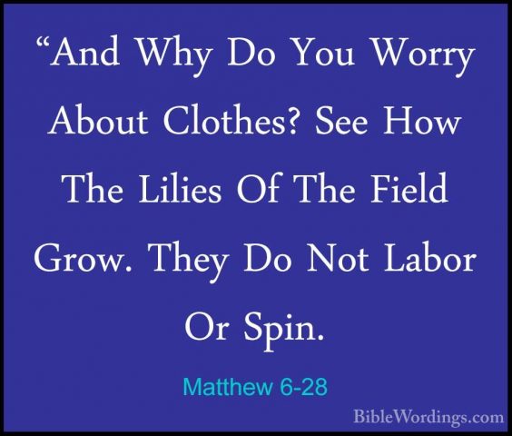 Matthew 6-28 - "And Why Do You Worry About Clothes? See How The L"And Why Do You Worry About Clothes? See How The Lilies Of The Field Grow. They Do Not Labor Or Spin. 