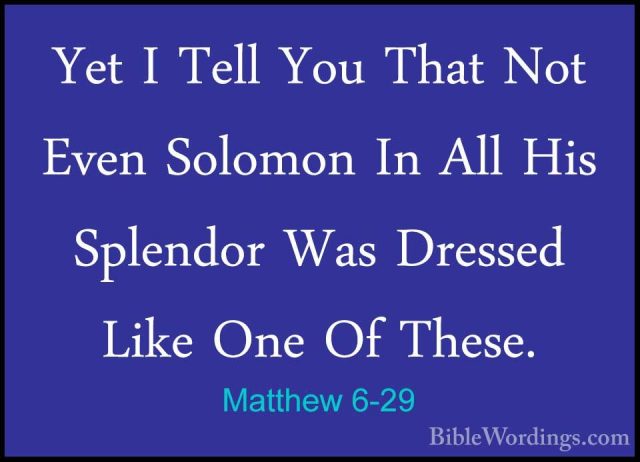 Matthew 6-29 - Yet I Tell You That Not Even Solomon In All His SpYet I Tell You That Not Even Solomon In All His Splendor Was Dressed Like One Of These. 