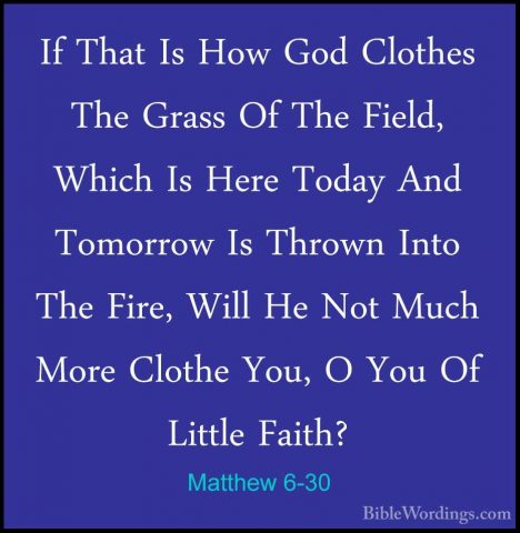 Matthew 6-30 - If That Is How God Clothes The Grass Of The Field,If That Is How God Clothes The Grass Of The Field, Which Is Here Today And Tomorrow Is Thrown Into The Fire, Will He Not Much More Clothe You, O You Of Little Faith? 