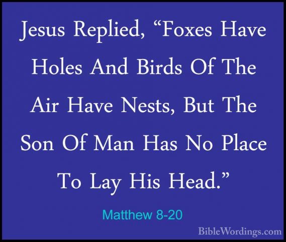 Matthew 8-20 - Jesus Replied, "Foxes Have Holes And Birds Of TheJesus Replied, "Foxes Have Holes And Birds Of The Air Have Nests, But The Son Of Man Has No Place To Lay His Head." 