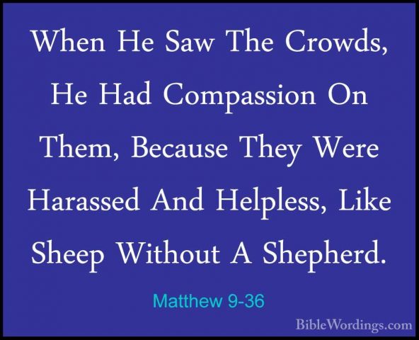 Matthew 9-36 - When He Saw The Crowds, He Had Compassion On Them,When He Saw The Crowds, He Had Compassion On Them, Because They Were Harassed And Helpless, Like Sheep Without A Shepherd. 