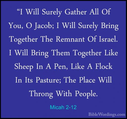 Micah 2-12 - "I Will Surely Gather All Of You, O Jacob; I Will Su"I Will Surely Gather All Of You, O Jacob; I Will Surely Bring Together The Remnant Of Israel. I Will Bring Them Together Like Sheep In A Pen, Like A Flock In Its Pasture; The Place Will Throng With People. 
