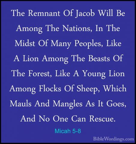 Micah 5-8 - The Remnant Of Jacob Will Be Among The Nations, In ThThe Remnant Of Jacob Will Be Among The Nations, In The Midst Of Many Peoples, Like A Lion Among The Beasts Of The Forest, Like A Young Lion Among Flocks Of Sheep, Which Mauls And Mangles As It Goes, And No One Can Rescue. 