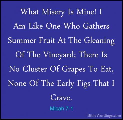 Micah 7-1 - What Misery Is Mine! I Am Like One Who Gathers SummerWhat Misery Is Mine! I Am Like One Who Gathers Summer Fruit At The Gleaning Of The Vineyard; There Is No Cluster Of Grapes To Eat, None Of The Early Figs That I Crave. 