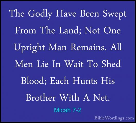 Micah 7-2 - The Godly Have Been Swept From The Land; Not One UpriThe Godly Have Been Swept From The Land; Not One Upright Man Remains. All Men Lie In Wait To Shed Blood; Each Hunts His Brother With A Net. 