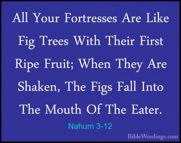 Nahum 3-12 - All Your Fortresses Are Like Fig Trees With Their FiAll Your Fortresses Are Like Fig Trees With Their First Ripe Fruit; When They Are Shaken, The Figs Fall Into The Mouth Of The Eater. 
