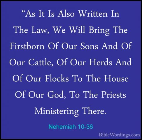 Nehemiah 10-36 - "As It Is Also Written In The Law, We Will Bring"As It Is Also Written In The Law, We Will Bring The Firstborn Of Our Sons And Of Our Cattle, Of Our Herds And Of Our Flocks To The House Of Our God, To The Priests Ministering There. 