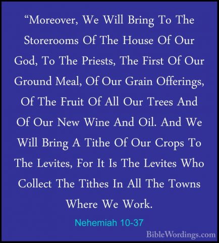 Nehemiah 10-37 - "Moreover, We Will Bring To The Storerooms Of Th"Moreover, We Will Bring To The Storerooms Of The House Of Our God, To The Priests, The First Of Our Ground Meal, Of Our Grain Offerings, Of The Fruit Of All Our Trees And Of Our New Wine And Oil. And We Will Bring A Tithe Of Our Crops To The Levites, For It Is The Levites Who Collect The Tithes In All The Towns Where We Work. 