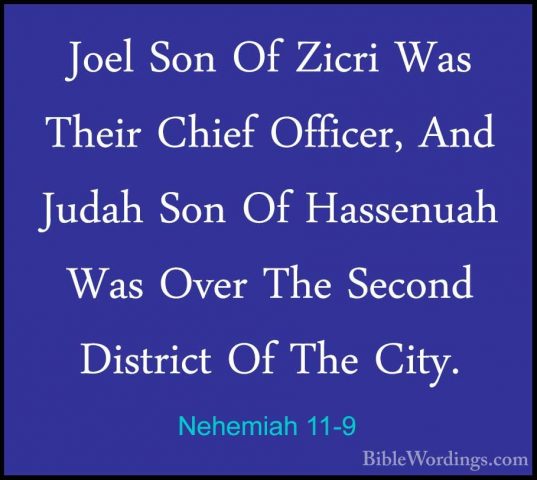 Nehemiah 11-9 - Joel Son Of Zicri Was Their Chief Officer, And JuJoel Son Of Zicri Was Their Chief Officer, And Judah Son Of Hassenuah Was Over The Second District Of The City. 