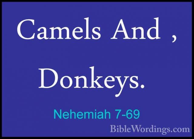 Nehemiah 7-69 -  Camels And , Donkeys. Camels And , Donkeys. 
