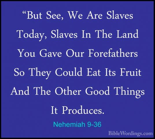 Nehemiah 9-36 - "But See, We Are Slaves Today, Slaves In The Land"But See, We Are Slaves Today, Slaves In The Land You Gave Our Forefathers So They Could Eat Its Fruit And The Other Good Things It Produces. 