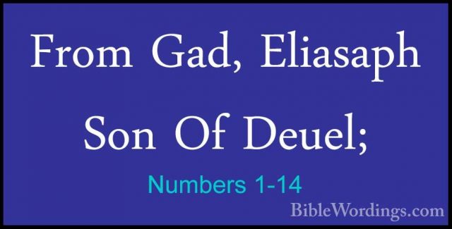 Numbers 1-14 - From Gad, Eliasaph Son Of Deuel;From Gad, Eliasaph Son Of Deuel; 