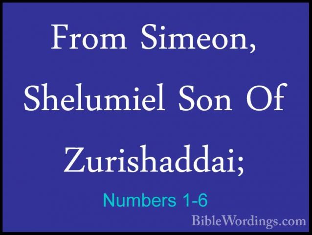 Numbers 1-6 - From Simeon, Shelumiel Son Of Zurishaddai;From Simeon, Shelumiel Son Of Zurishaddai; 