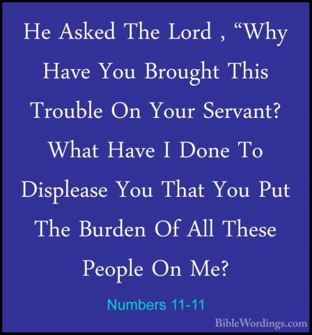 Numbers 11-11 - He Asked The Lord , "Why Have You Brought This TrHe Asked The Lord , "Why Have You Brought This Trouble On Your Servant? What Have I Done To Displease You That You Put The Burden Of All These People On Me? 