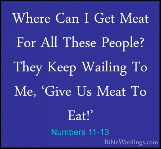Numbers 11-13 - Where Can I Get Meat For All These People? They KWhere Can I Get Meat For All These People? They Keep Wailing To Me, 'Give Us Meat To Eat!' 