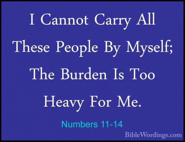Numbers 11-14 - I Cannot Carry All These People By Myself; The BuI Cannot Carry All These People By Myself; The Burden Is Too Heavy For Me. 
