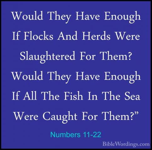 Numbers 11-22 - Would They Have Enough If Flocks And Herds Were SWould They Have Enough If Flocks And Herds Were Slaughtered For Them? Would They Have Enough If All The Fish In The Sea Were Caught For Them?" 