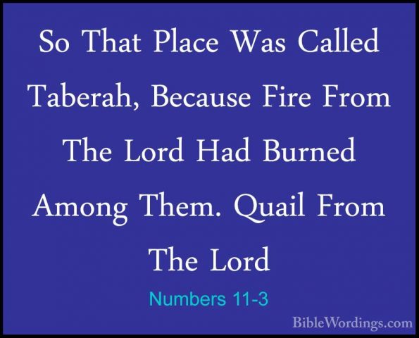 Numbers 11-3 - So That Place Was Called Taberah, Because Fire FroSo That Place Was Called Taberah, Because Fire From The Lord Had Burned Among Them. Quail From The Lord 