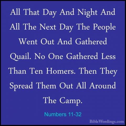 Numbers 11-32 - All That Day And Night And All The Next Day The PAll That Day And Night And All The Next Day The People Went Out And Gathered Quail. No One Gathered Less Than Ten Homers. Then They Spread Them Out All Around The Camp. 