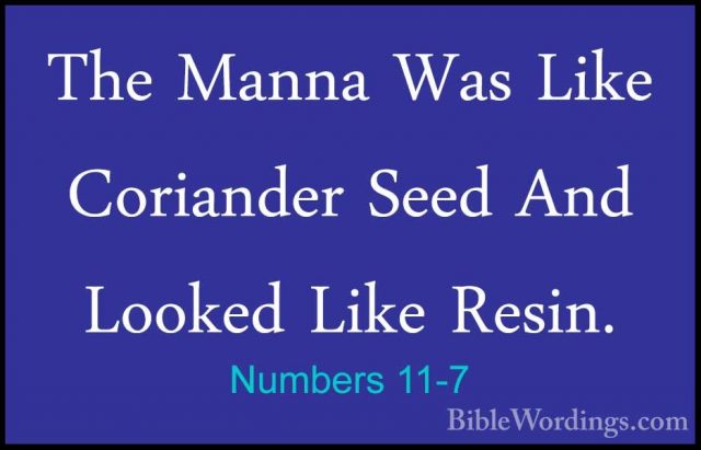 Numbers 11-7 - The Manna Was Like Coriander Seed And Looked LikeThe Manna Was Like Coriander Seed And Looked Like Resin. 