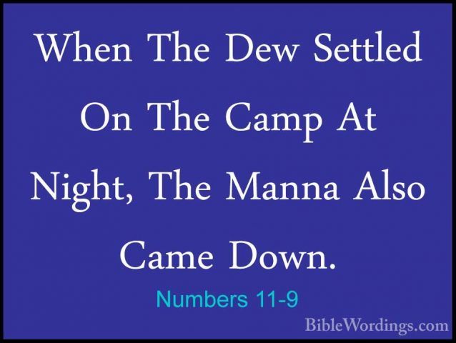 Numbers 11-9 - When The Dew Settled On The Camp At Night, The ManWhen The Dew Settled On The Camp At Night, The Manna Also Came Down. 