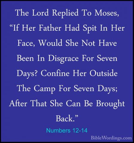 Numbers 12-14 - The Lord Replied To Moses, "If Her Father Had SpiThe Lord Replied To Moses, "If Her Father Had Spit In Her Face, Would She Not Have Been In Disgrace For Seven Days? Confine Her Outside The Camp For Seven Days; After That She Can Be Brought Back." 