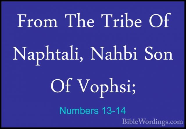 Numbers 13-14 - From The Tribe Of Naphtali, Nahbi Son Of Vophsi;From The Tribe Of Naphtali, Nahbi Son Of Vophsi; 