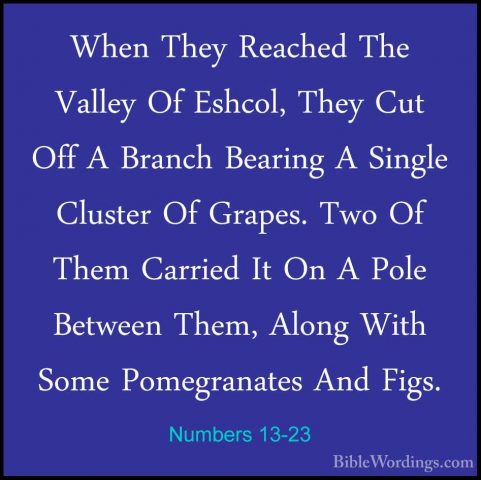Numbers 13-23 - When They Reached The Valley Of Eshcol, They CutWhen They Reached The Valley Of Eshcol, They Cut Off A Branch Bearing A Single Cluster Of Grapes. Two Of Them Carried It On A Pole Between Them, Along With Some Pomegranates And Figs. 