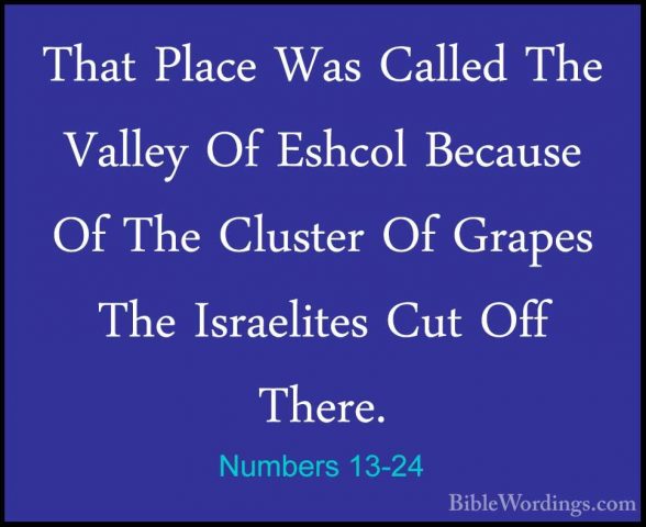 Numbers 13-24 - That Place Was Called The Valley Of Eshcol BecausThat Place Was Called The Valley Of Eshcol Because Of The Cluster Of Grapes The Israelites Cut Off There. 