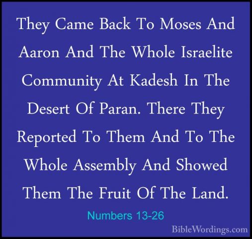 Numbers 13-26 - They Came Back To Moses And Aaron And The Whole IThey Came Back To Moses And Aaron And The Whole Israelite Community At Kadesh In The Desert Of Paran. There They Reported To Them And To The Whole Assembly And Showed Them The Fruit Of The Land. 