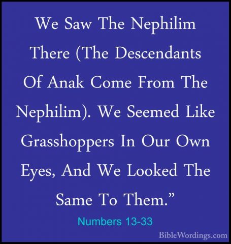 Numbers 13-33 - We Saw The Nephilim There (The Descendants Of AnaWe Saw The Nephilim There (The Descendants Of Anak Come From The Nephilim). We Seemed Like Grasshoppers In Our Own Eyes, And We Looked The Same To Them."