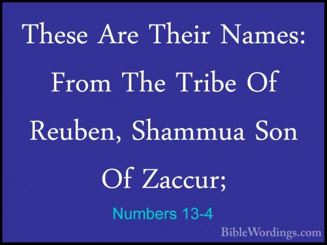 Numbers 13-4 - These Are Their Names: From The Tribe Of Reuben, SThese Are Their Names: From The Tribe Of Reuben, Shammua Son Of Zaccur; 