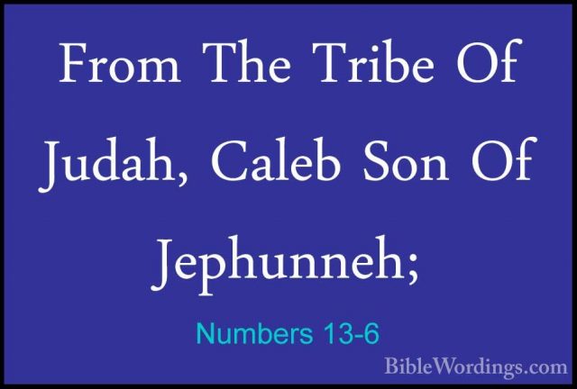 Numbers 13-6 - From The Tribe Of Judah, Caleb Son Of Jephunneh;From The Tribe Of Judah, Caleb Son Of Jephunneh; 