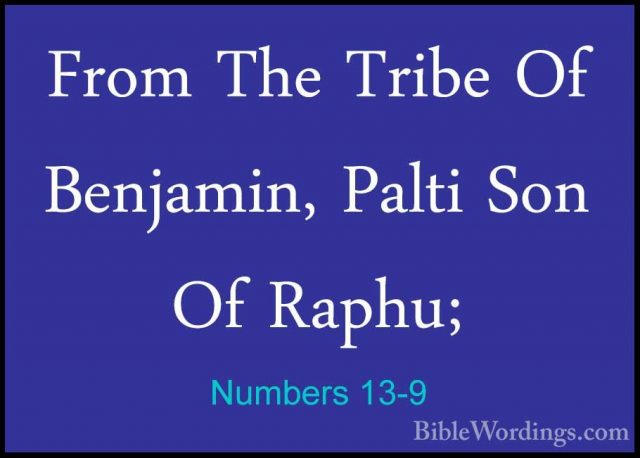 Numbers 13-9 - From The Tribe Of Benjamin, Palti Son Of Raphu;From The Tribe Of Benjamin, Palti Son Of Raphu; 