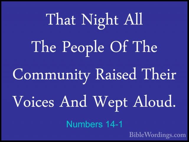 Numbers 14-1 - That Night All The People Of The Community RaisedThat Night All The People Of The Community Raised Their Voices And Wept Aloud. 