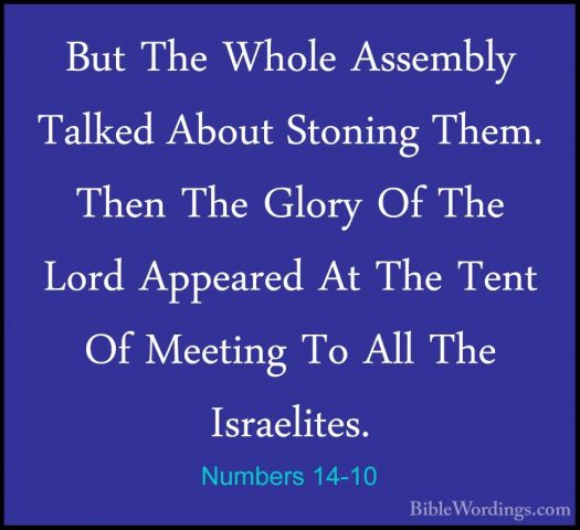 Numbers 14-10 - But The Whole Assembly Talked About Stoning Them.But The Whole Assembly Talked About Stoning Them. Then The Glory Of The Lord Appeared At The Tent Of Meeting To All The Israelites. 