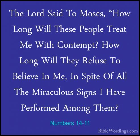 Numbers 14-11 - The Lord Said To Moses, "How Long Will These PeopThe Lord Said To Moses, "How Long Will These People Treat Me With Contempt? How Long Will They Refuse To Believe In Me, In Spite Of All The Miraculous Signs I Have Performed Among Them? 