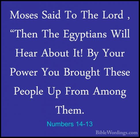 Numbers 14-13 - Moses Said To The Lord , "Then The Egyptians WillMoses Said To The Lord , "Then The Egyptians Will Hear About It! By Your Power You Brought These People Up From Among Them. 