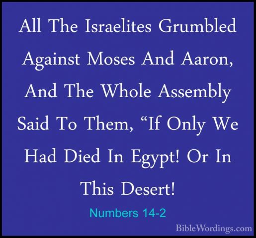 Numbers 14-2 - All The Israelites Grumbled Against Moses And AaroAll The Israelites Grumbled Against Moses And Aaron, And The Whole Assembly Said To Them, "If Only We Had Died In Egypt! Or In This Desert! 