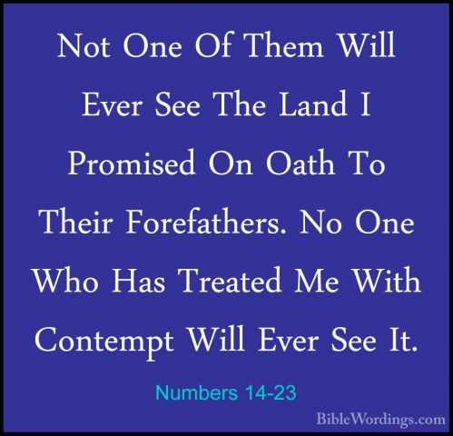 Numbers 14-23 - Not One Of Them Will Ever See The Land I PromisedNot One Of Them Will Ever See The Land I Promised On Oath To Their Forefathers. No One Who Has Treated Me With Contempt Will Ever See It. 