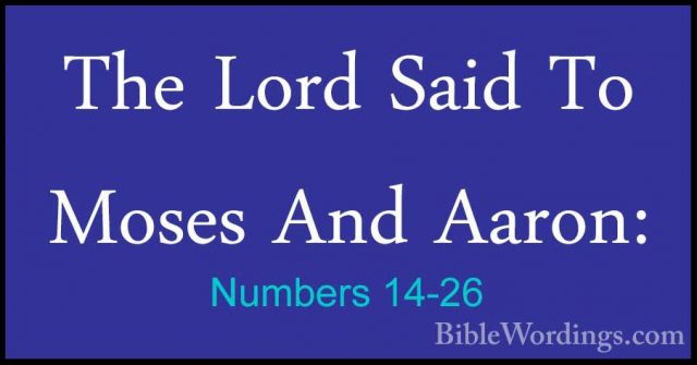 Numbers 14-26 - The Lord Said To Moses And Aaron:The Lord Said To Moses And Aaron: 